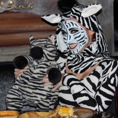 the-stripes-go-all-the-way-down